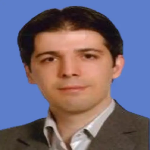 Assoc. Prof. Dr. Mohammad Silani